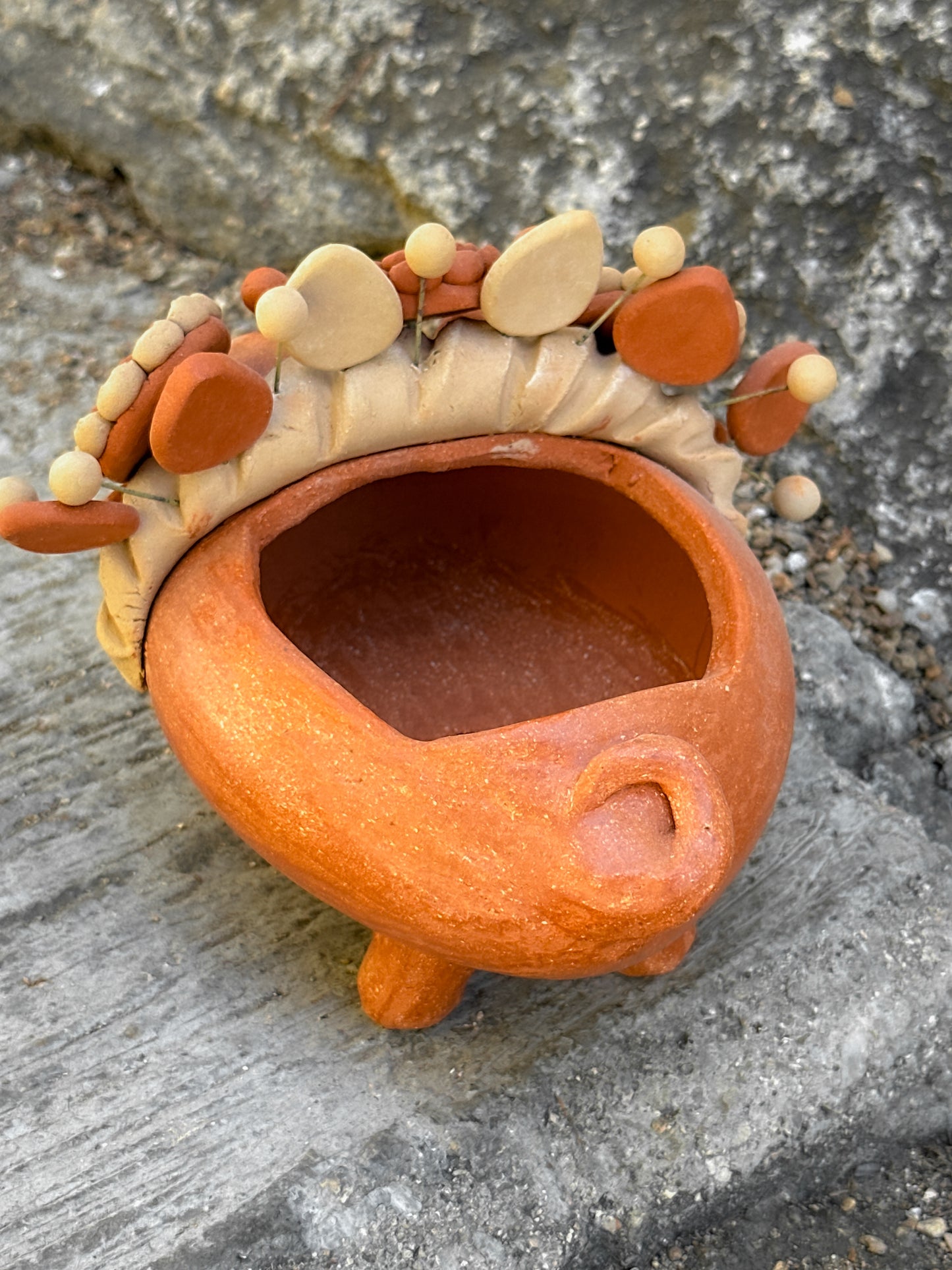Marranito Planter Pot