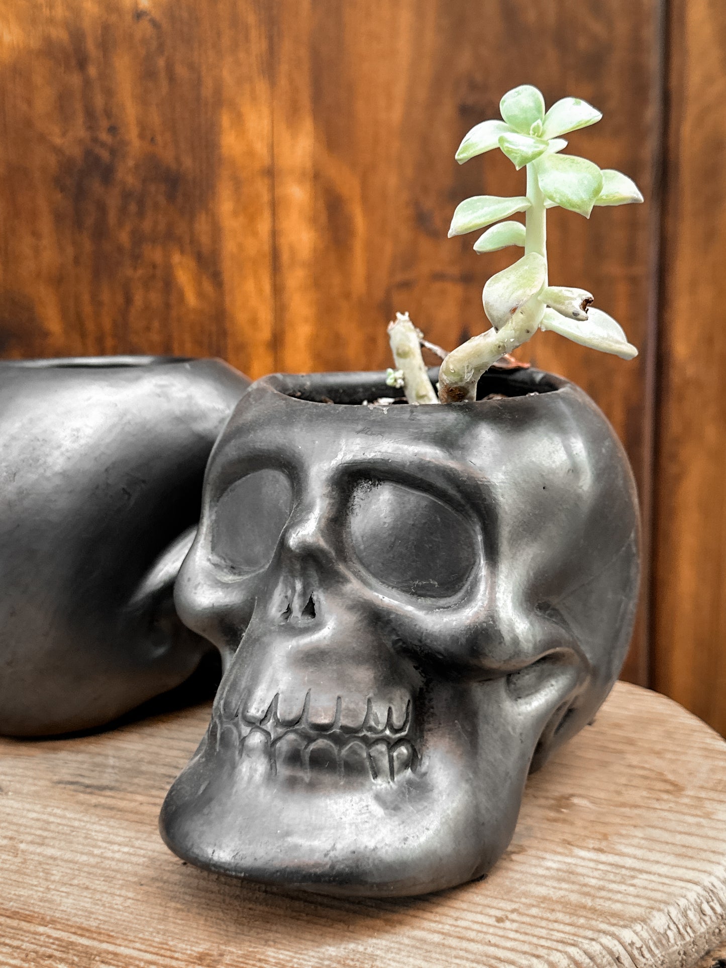 Black Clay Skull Planter Pot