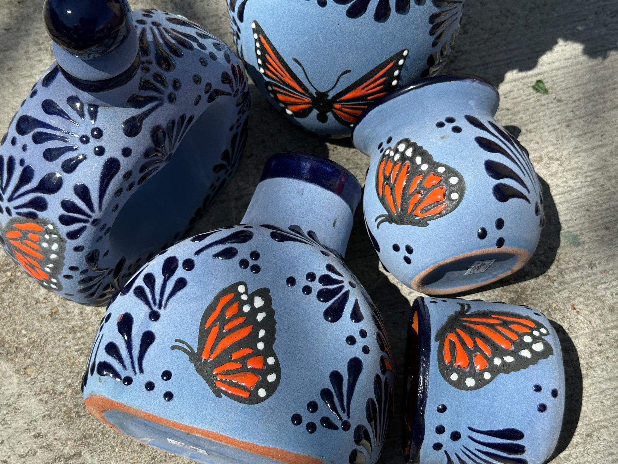 Blue Monarch Butterfly