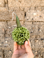 Vela floral de cera de abejas de Teotitlán