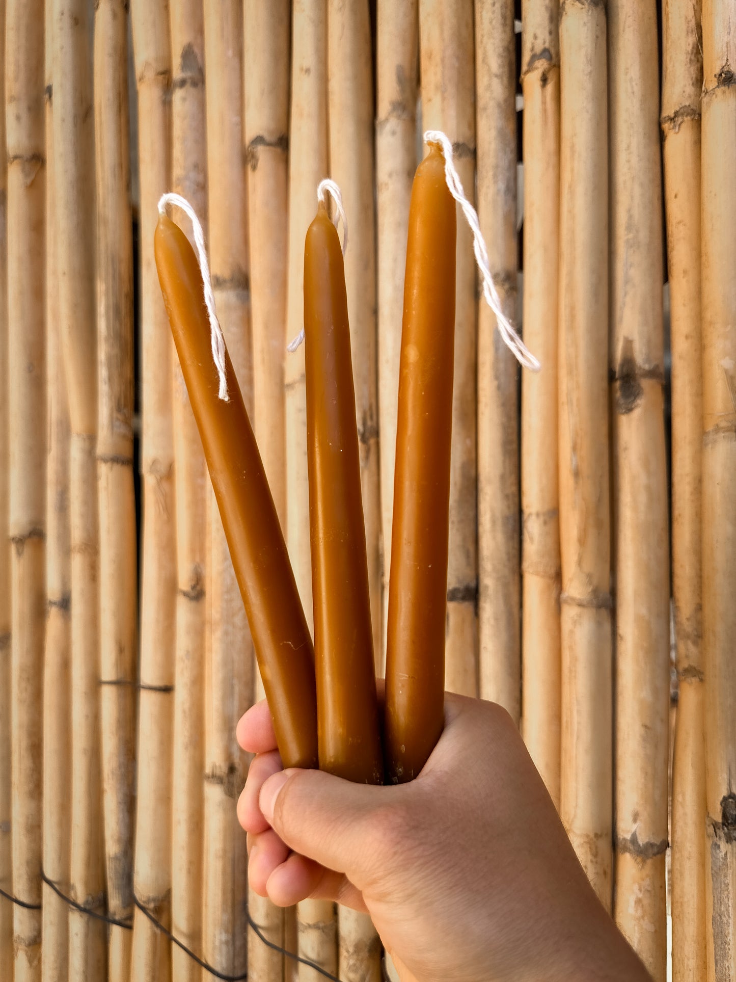 Set of 3 Beeswax Taper Candles