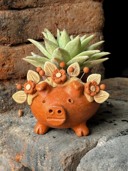 Marranito Planter Pot