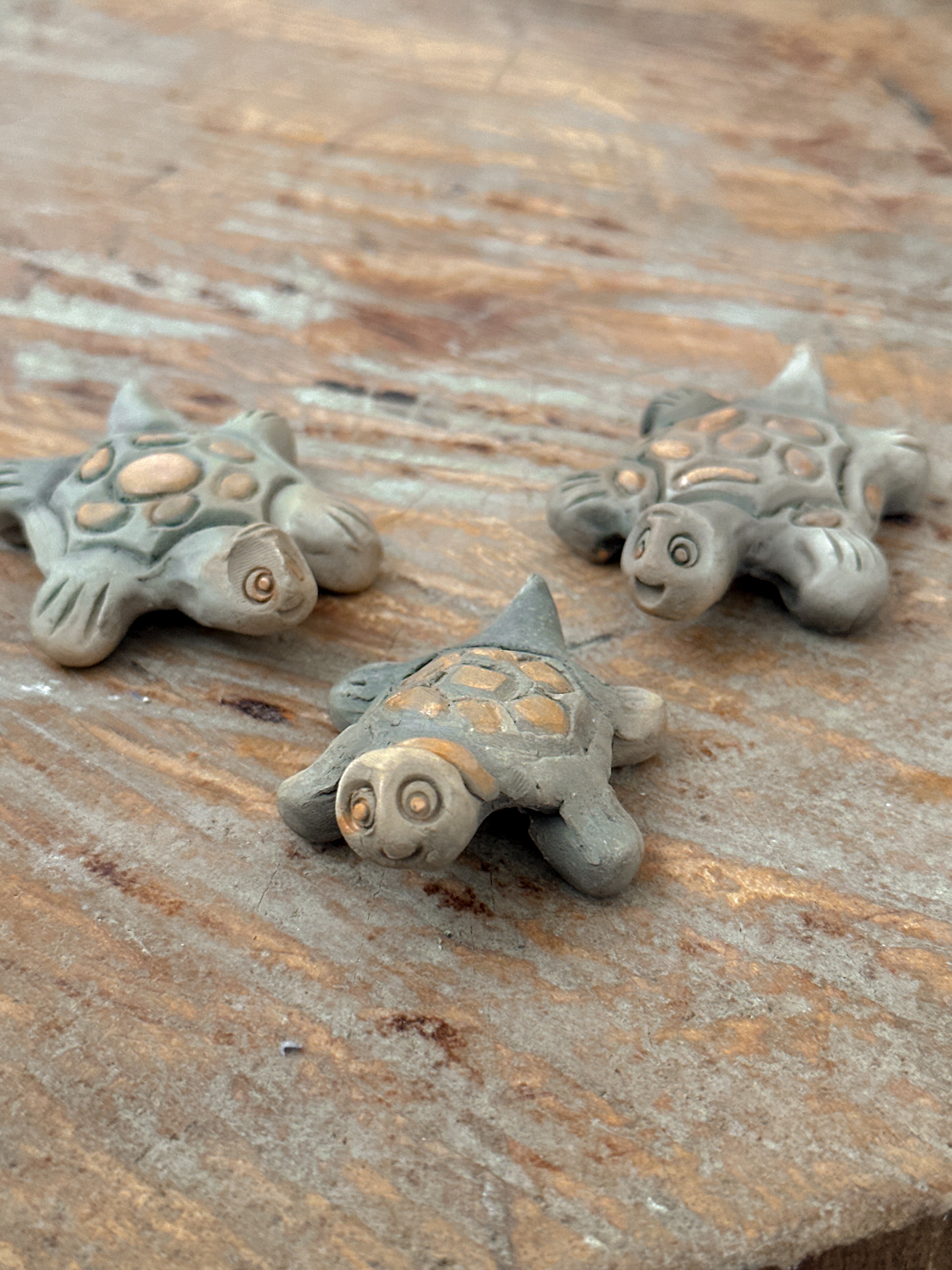 Set of 3 Mini Turtles