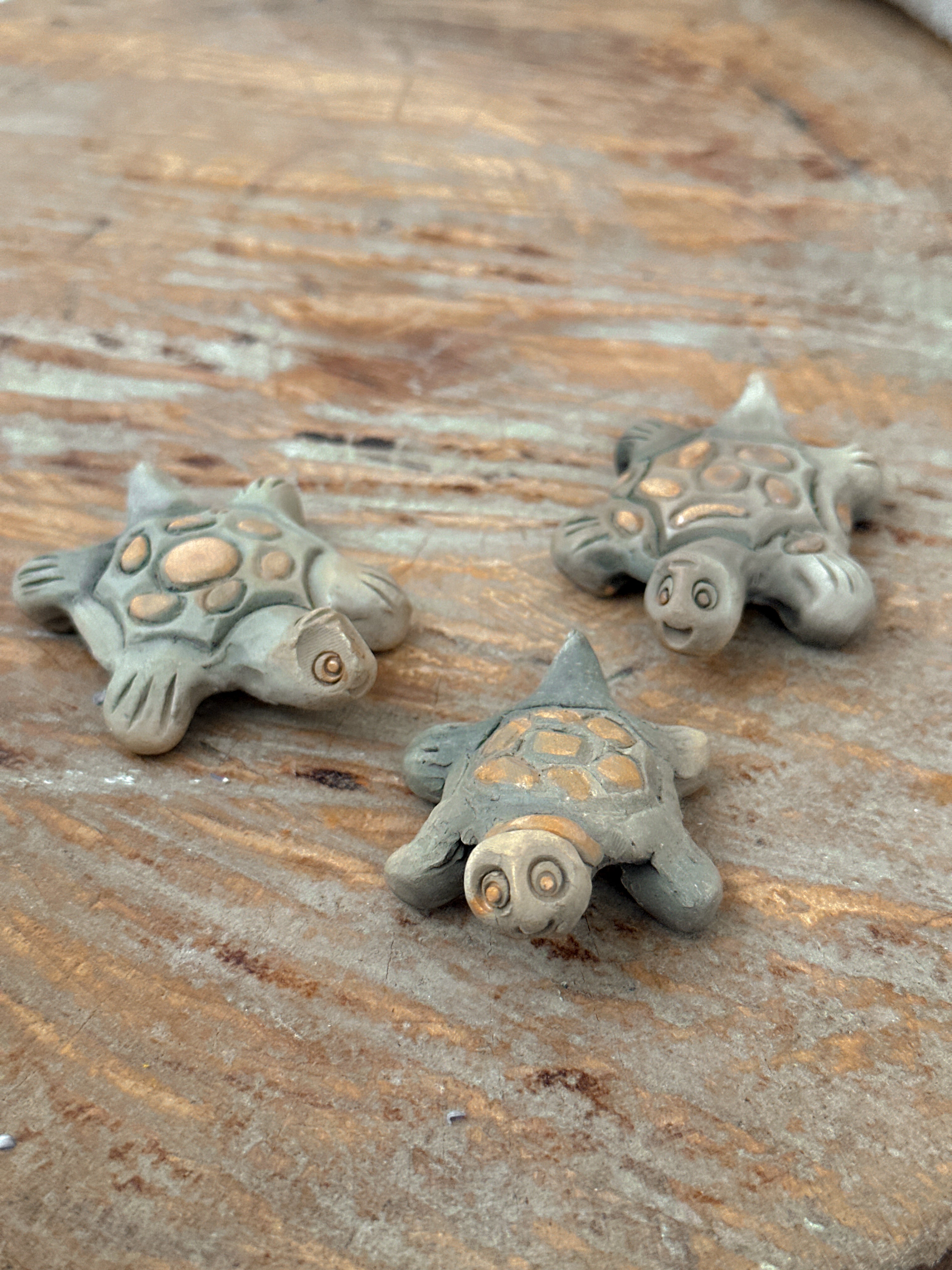 Set of 3 Mini Turtles