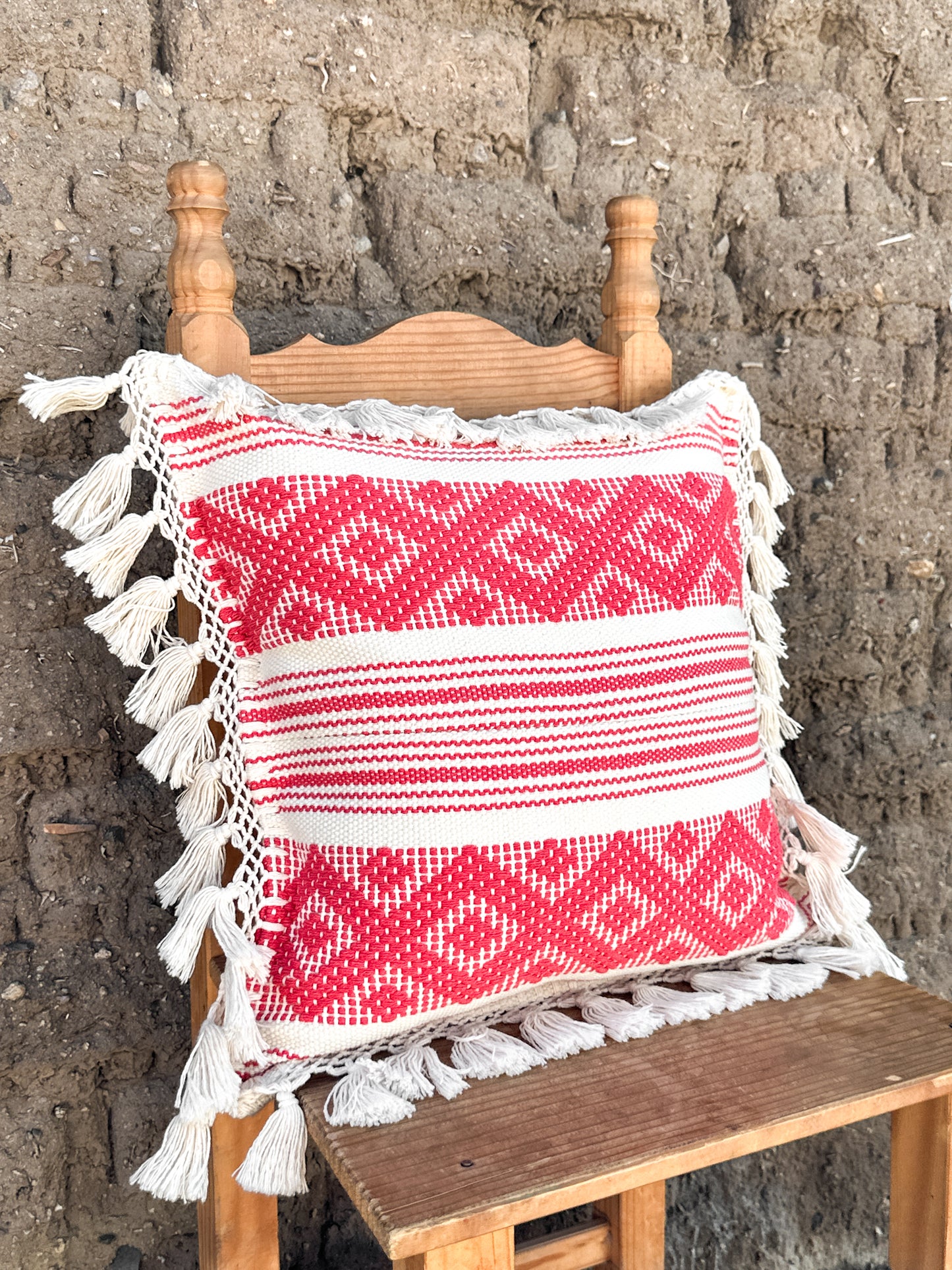 Coral Pillow Case