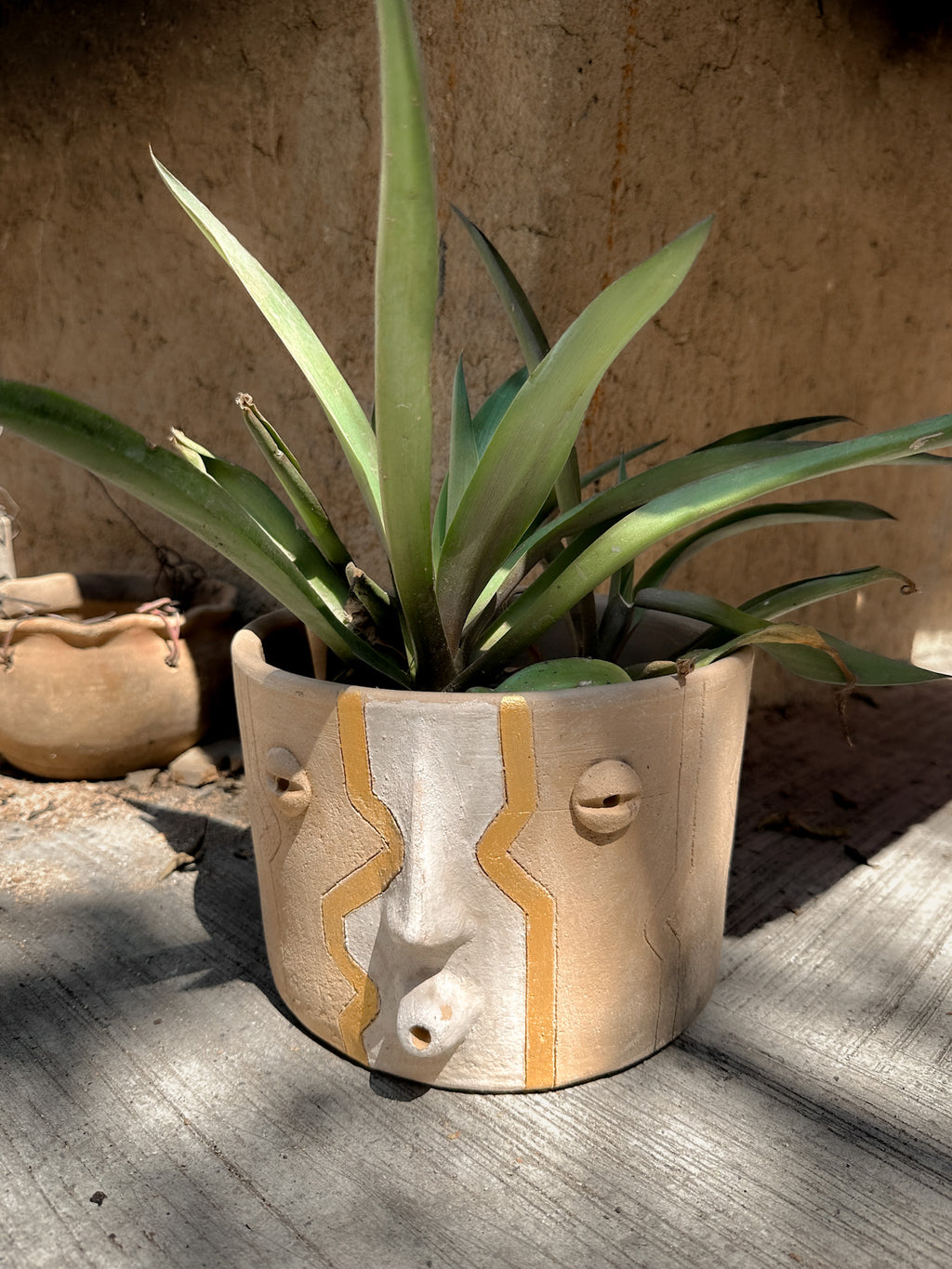 Large Carita Planter Pot