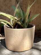 Large Carita Planter Pot