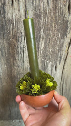 Leslie Medium Beeswax Candle