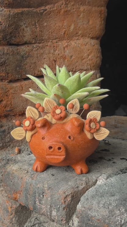 Marranito Planter Pot