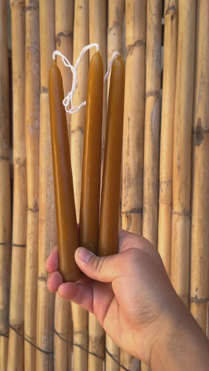 Set of 3 Beeswax Taper Candles